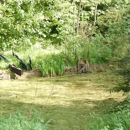 Schloss Schwanberg Rödelsee